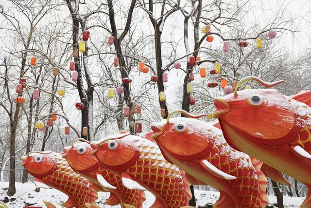 开云体育-连下两天“鹅毛大雪”之后,北京未来一周还有雪吗?